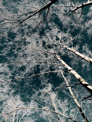 Incandescence 300X400